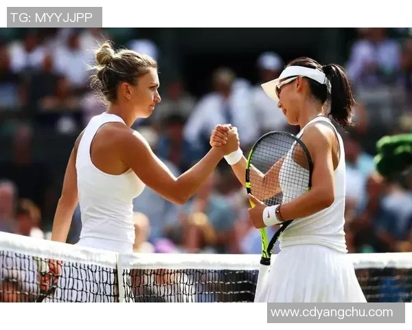 赛后复盘杭州网球队与重庆网球队的比赛节奏与战术分析