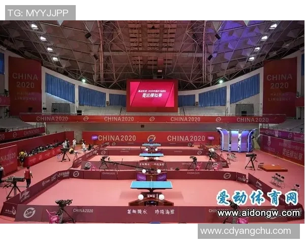 英超乒乓球焦点南京乒乓球队的实力与发展趋势深入分析