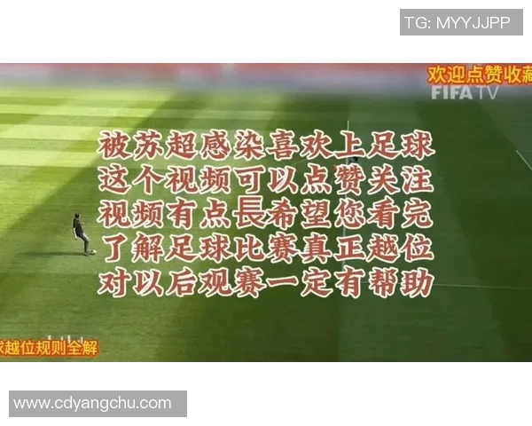 张芳独家分享欧冠足球心得与技巧助你提升观赛体验 张芳独家分享欧冠足球心得与技巧助你提升观赛体验