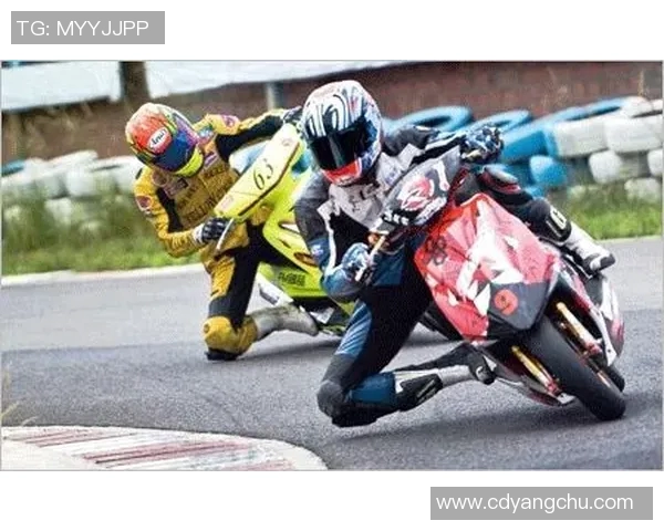 深入分析深圳飞盘队阵地战战术与技巧的运动专业解读