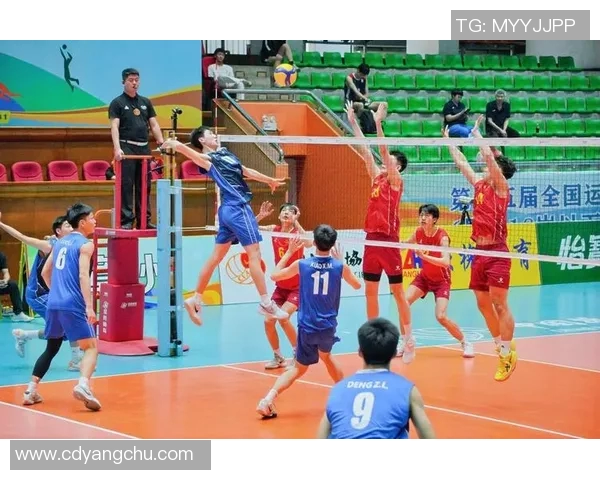 重庆排球队心理素质引发热议球迷与专家各抒己见探讨背后原因 重庆排球队心理素质引发热议球迷与专家各抒己见探讨背后原因