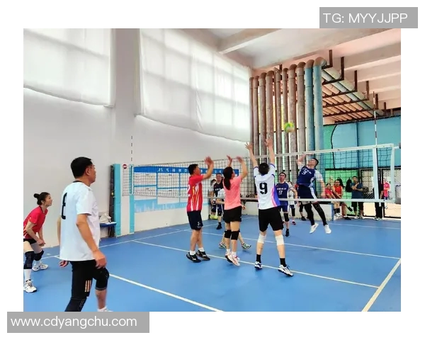 体育实时数据排球巨献揭秘北京排球队背后的强大力量与奋斗故事 体育实时数据排球巨献揭秘北京排球队背后的强大力量与奋斗故事