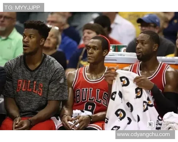 今年运动数据重庆羽毛球队逆袭之路揭秘大满贯背后的奋斗与荣耀